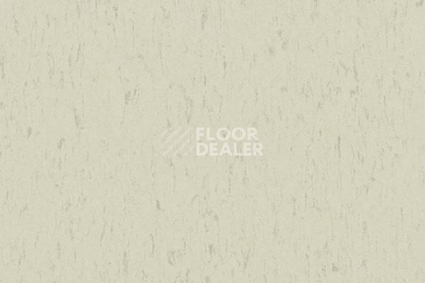 Линолеум Marmoleum Decibel on Order 365035 polar bear фото 1 | FLOORDEALER